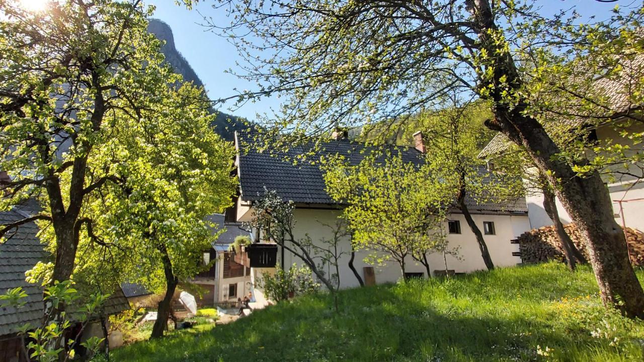 Apartmaji Pekovec Bohinj Esterno foto