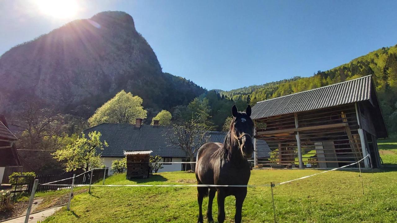 Apartmaji Pekovec Bohinj Esterno foto